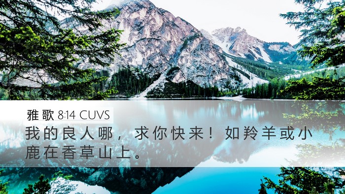 雅 歌 8:14 CUVS Bible Verse Image
