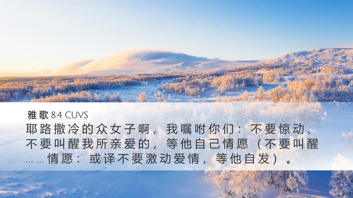 雅 歌 8:4 CUVS Bible Verse Image