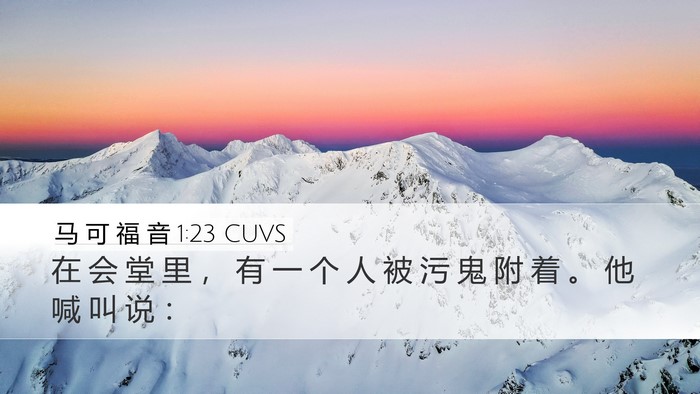 马 可 福 音 1:23 CUVS Bible Verse Image