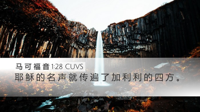 马 可 福 音 1:28 CUVS Bible Verse Image