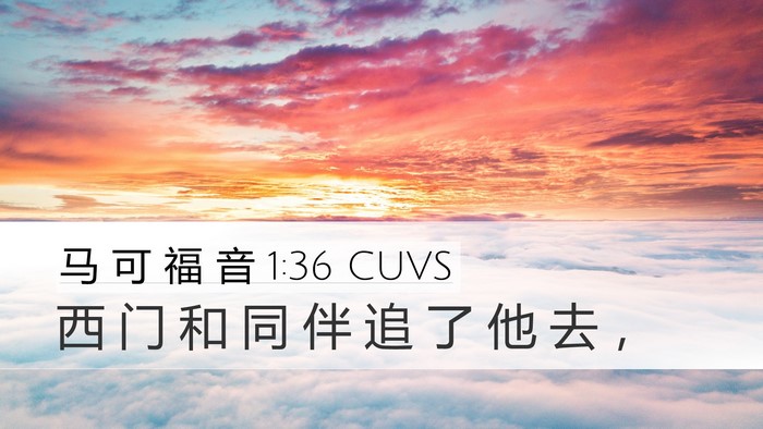 马 可 福 音 1:36 CUVS Desktop Wallpaper - 西 门 和 同 伴 追 了 他 去 - Desktop Bible Verse Wallpaper