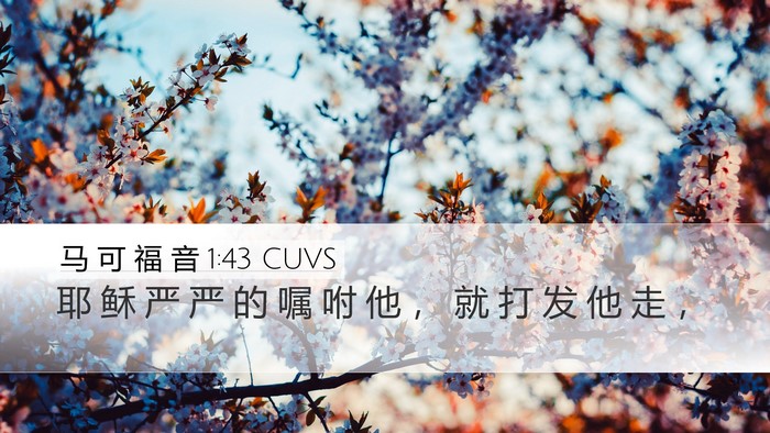 马 可 福 音 1:43 CUVS Bible Verse Image