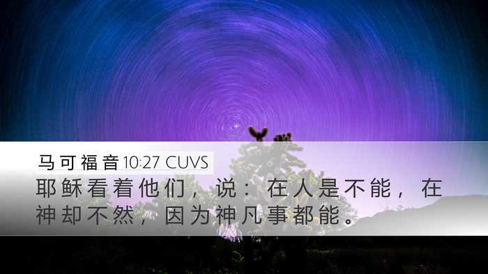 马 可 福 音 10:27 CUVS Bible Verse Image