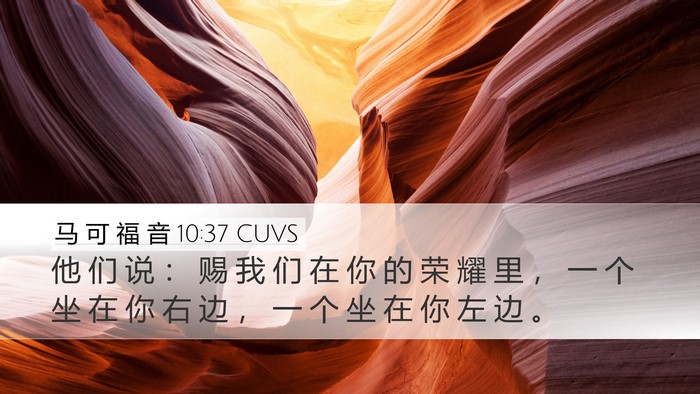 马 可 福 音 10:37 CUVS Desktop Wallpaper - 他 们 说 ： 赐 我 们 在 你 的 荣 耀 - Desktop Bible Verse Wallpaper