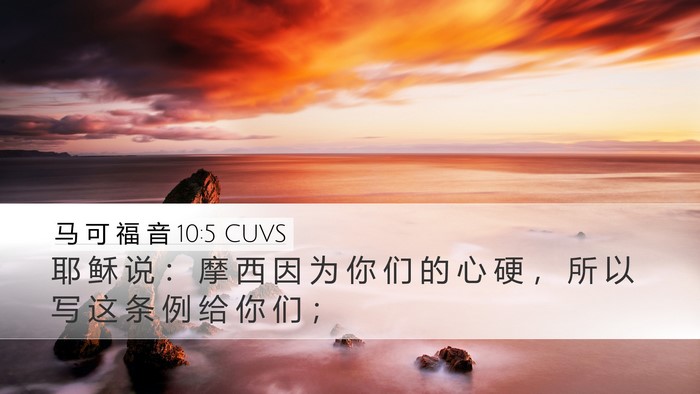 马 可 福 音 10:5 CUVS Desktop Wallpaper - 耶 稣 说 ： 摩 西 因 为 你 们 的 心 - Desktop Bible Verse Wallpaper