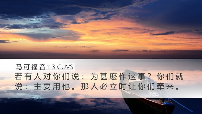 马 可 福 音 11:3 CUVS Desktop Wallpaper - 若 有 人 对 你 们 说 ： 为 甚 麽 作 - Desktop Bible Verse Wallpaper