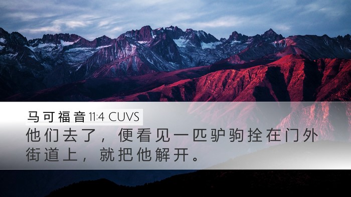 马 可 福 音 11:4 CUVS Bible Verse Image