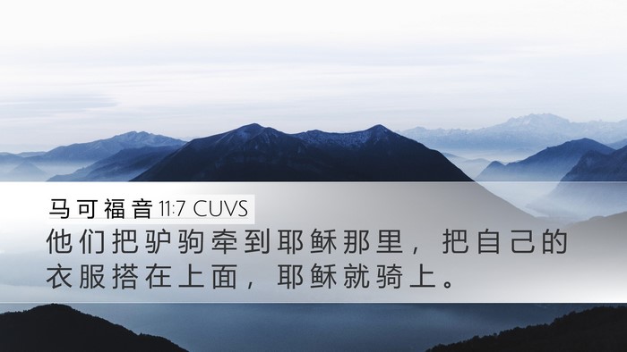 马 可 福 音 11:7 CUVS Desktop Wallpaper - 他 们 把 驴 驹 牵 到 耶 稣 那 里 ， - Desktop Bible Verse Wallpaper