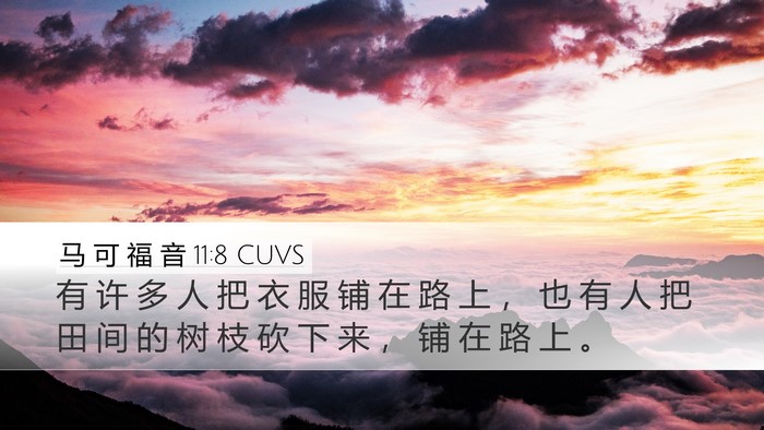 马 可 福 音 11:8 CUVS Desktop Wallpaper - 有 许 多 人 把 衣 服 铺 在 路 上 ， - Desktop Bible Verse Wallpaper