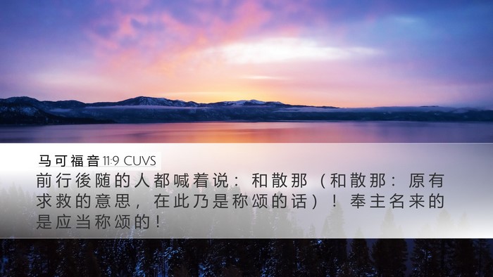 马 可 福 音 11:9 CUVS Bible Verse Image