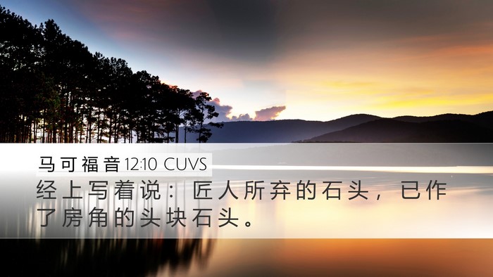 马 可 福 音 12:10 CUVS Bible Verse Image