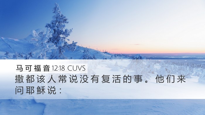 马 可 福 音 12:18 CUVS Bible Verse Image