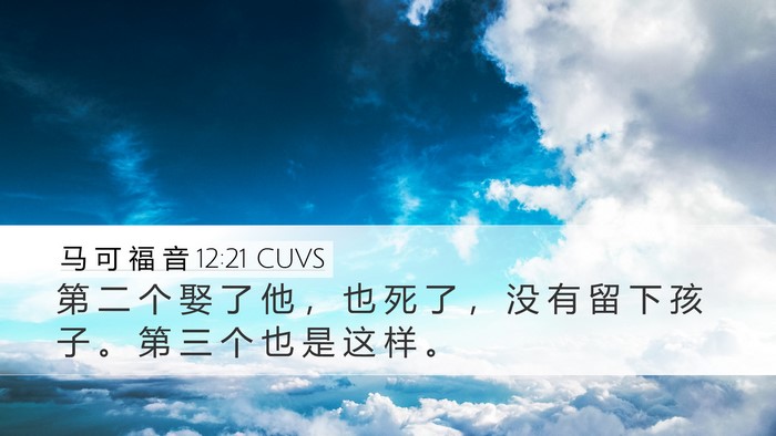 马 可 福 音 12:21 CUVS Desktop Wallpaper - 第 二 个 娶 了 他 ， 也 死 了 ， 没 - Desktop Bible Verse Wallpaper