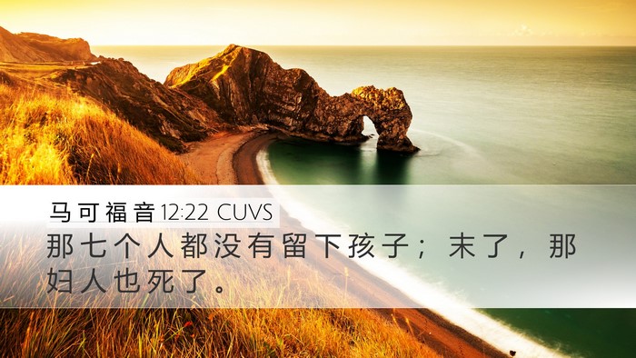 马 可 福 音 12:22 CUVS Desktop Wallpaper - 那 七 个 人 都 没 有 留 下 孩 子 ； - Desktop Bible Verse Wallpaper
