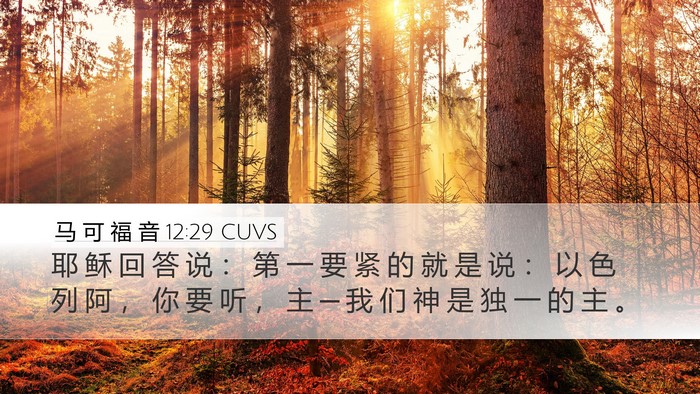 马 可 福 音 12:29 CUVS Bible Verse Image