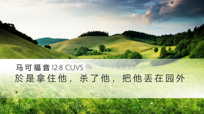 马 可 福 音 12:8 CUVS Desktop Wallpaper - 於 是 拿 住 他 ， 杀 了 他 ， 把 他 - Desktop Bible Verse Wallpaper