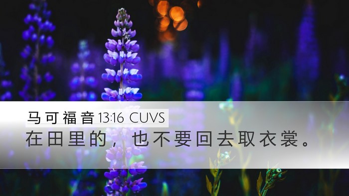 马 可 福 音 13:16 CUVS Desktop Wallpaper - 在 田 里 的 ， 也 不 要 回 去 取 衣 - Desktop Bible Verse Wallpaper