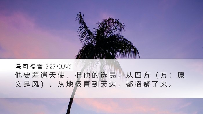 马 可 福 音 13:27 CUVS Bible Verse Image