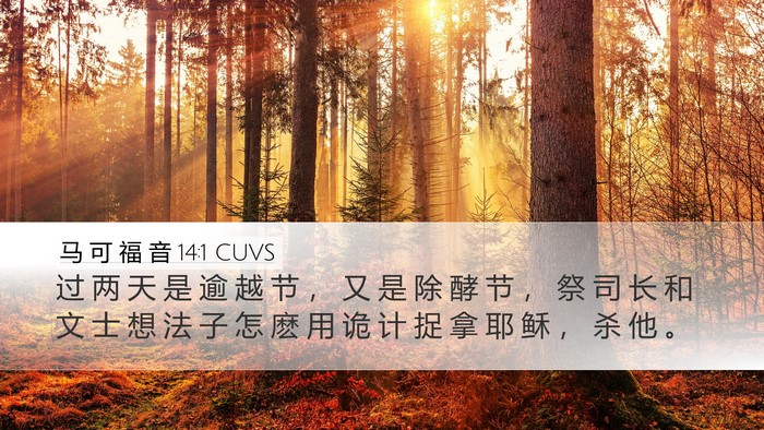 马 可 福 音 14:1 CUVS Bible Verse Image