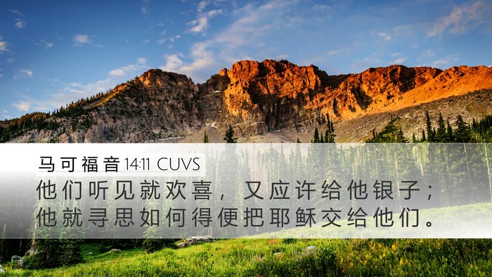 马 可 福 音 14:11 CUVS Bible Verse Image