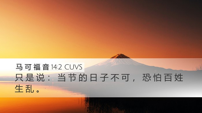 马 可 福 音 14:2 CUVS Bible Verse Image