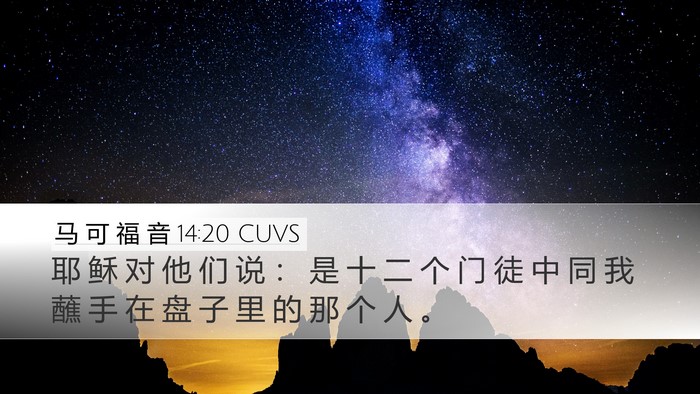 马 可 福 音 14:20 CUVS Bible Verse Image