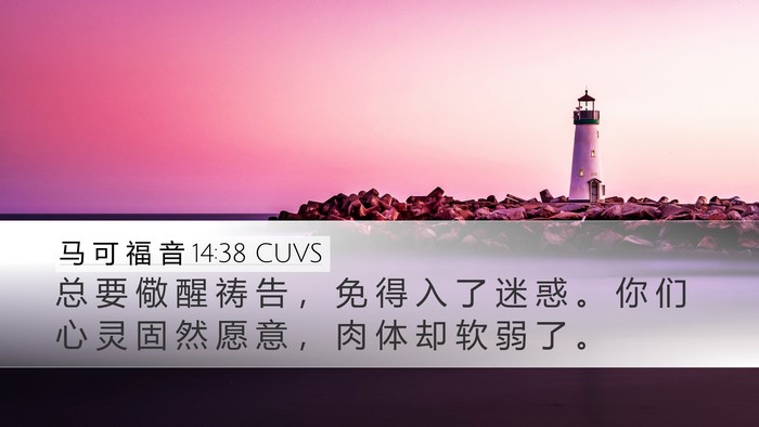 马 可 福 音 14:38 CUVS Bible Verse Image