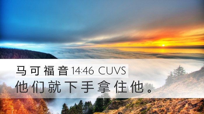 马 可 福 音 14:46 CUVS Bible Verse Image