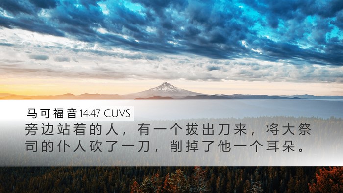马 可 福 音 14:47 CUVS Bible Verse Image
