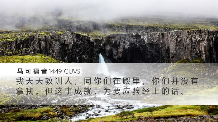 马 可 福 音 14:49 CUVS Desktop Wallpaper - 我 天 天 教 训 人 ， 同 你 们 在 殿 - Desktop Bible Verse Wallpaper