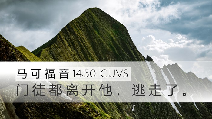 马 可 福 音 14:50 CUVS Bible Verse Image