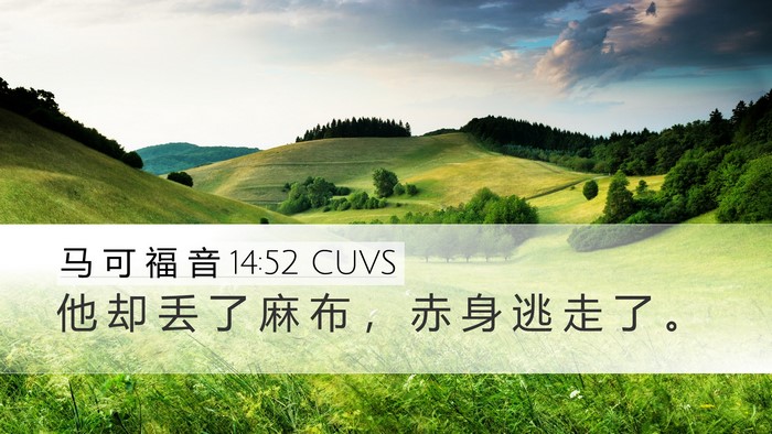 马 可 福 音 14:52 CUVS Bible Verse Image