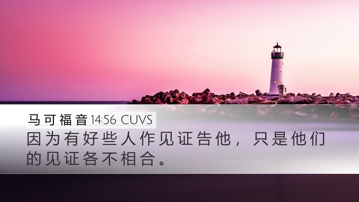 马 可 福 音 14:56 CUVS Bible Verse Image