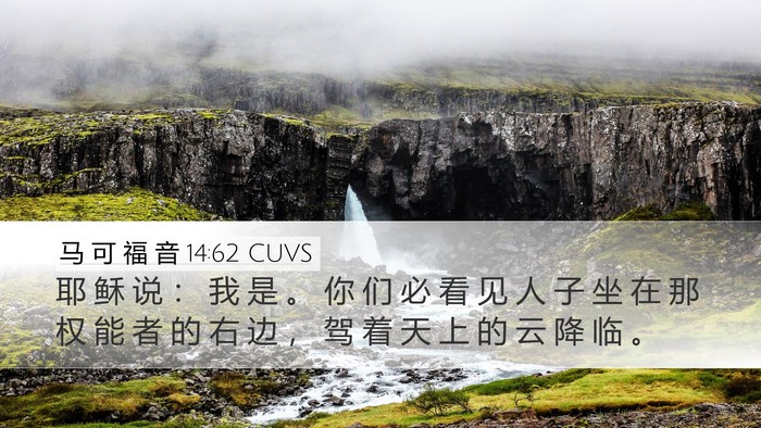 马 可 福 音 14:62 CUVS Bible Verse Image