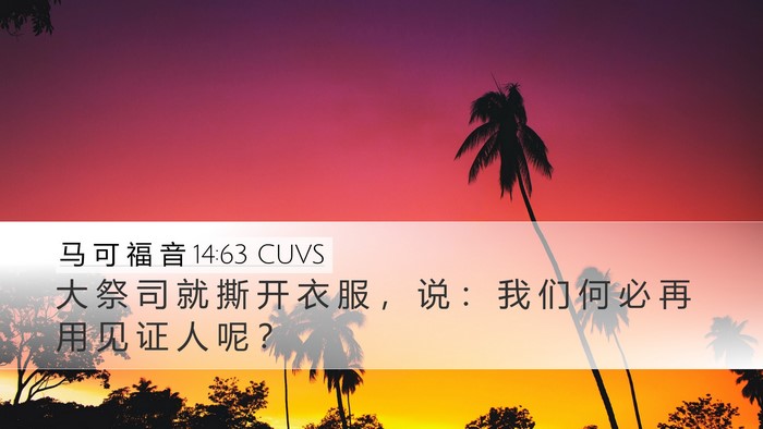 马 可 福 音 14:63 CUVS Bible Verse Image