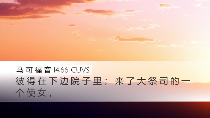 马 可 福 音 14:66 CUVS Bible Verse Image