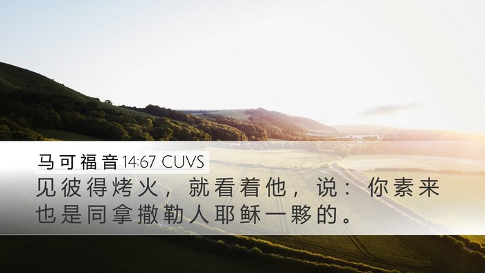 马 可 福 音 14:67 CUVS Desktop Wallpaper - 见 彼 得 烤 火 ， 就 看 着 他 ， 说 - Desktop Bible Verse Wallpaper
