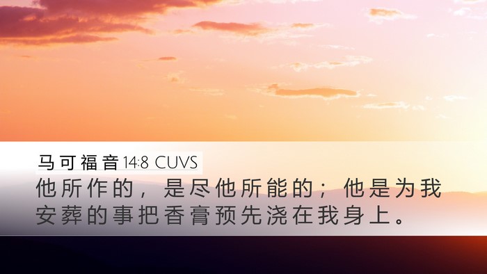 马 可 福 音 14:8 CUVS Bible Verse Image