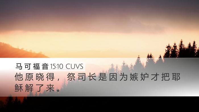 马 可 福 音 15:10 CUVS Desktop Wallpaper - 他 原 晓 得 ， 祭 司 长 是 因 为 嫉 - Desktop Bible Verse Wallpaper