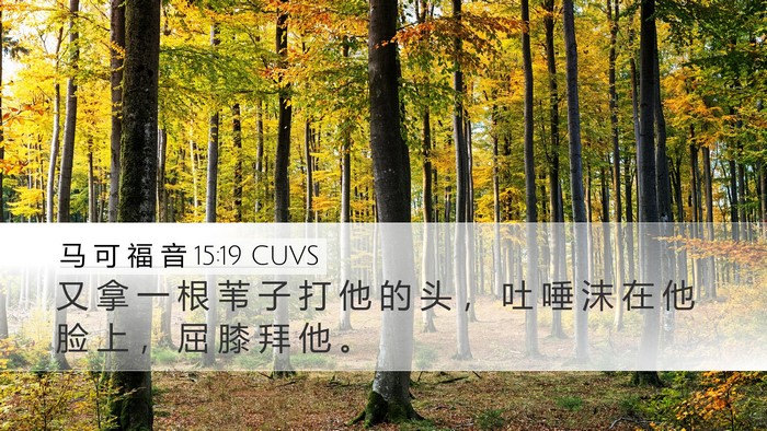 马 可 福 音 15:19 CUVS Bible Verse Image