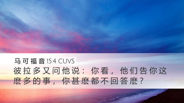 马 可 福 音 15:4 CUVS Desktop Wallpaper - 彼 拉 多 又 问 他 说 ： 你 看 ， 他 - Desktop Bible Verse Wallpaper