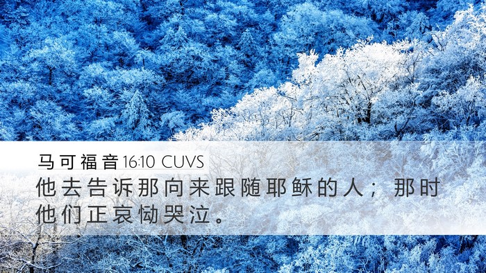 马 可 福 音 16:10 CUVS Bible Verse Image