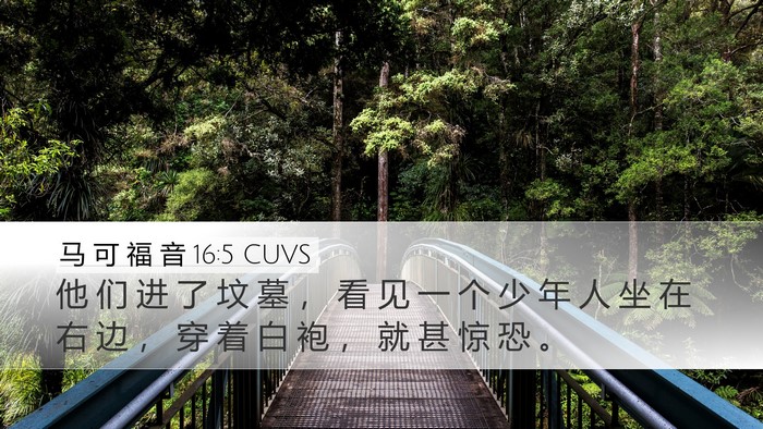 马 可 福 音 16:5 CUVS Bible Verse Image