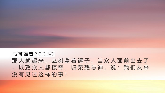 马 可 福 音 2:12 CUVS Bible Verse Image