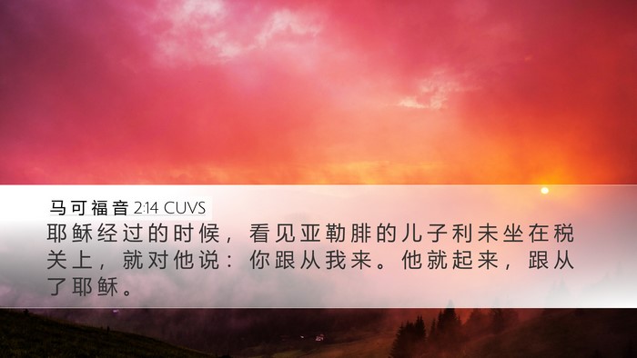 马 可 福 音 2:14 CUVS Bible Verse Image