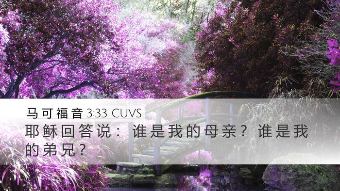 马 可 福 音 3:33 CUVS Desktop Wallpaper - 耶 稣 回 答 说 ： 谁 是 我 的 母 亲 - Desktop Bible Verse Wallpaper
