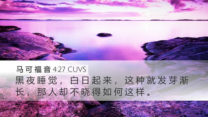 马 可 福 音 4:27 CUVS Desktop Wallpaper - 黑 夜 睡 觉 ， 白 日 起 来 ， 这 种 - Desktop Bible Verse Wallpaper
