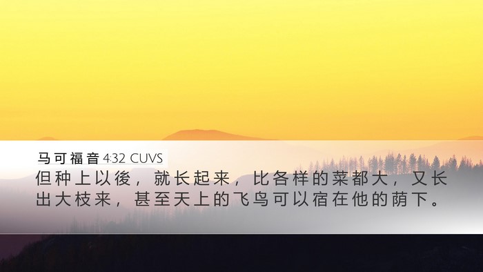 马 可 福 音 4:32 CUVS Desktop Wallpaper - 但 种 上 以 後 ， 就 长 起 来 ， 比 - Desktop Bible Verse Wallpaper