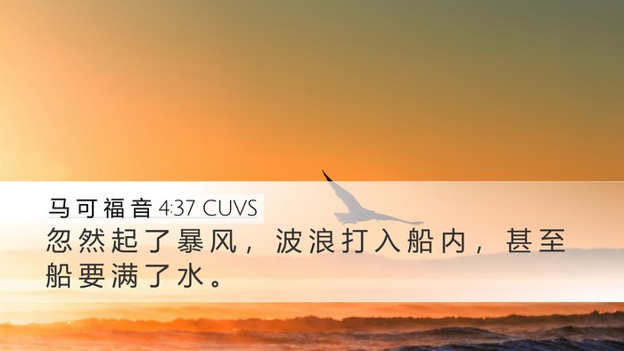 马 可 福 音 4:37 CUVS Bible Verse Image