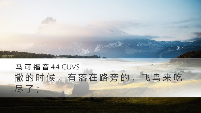 马 可 福 音 4:4 CUVS Desktop Wallpaper - 撒 的 时 候 ， 有 落 在 路 旁 的 ， - Desktop Bible Verse Wallpaper
